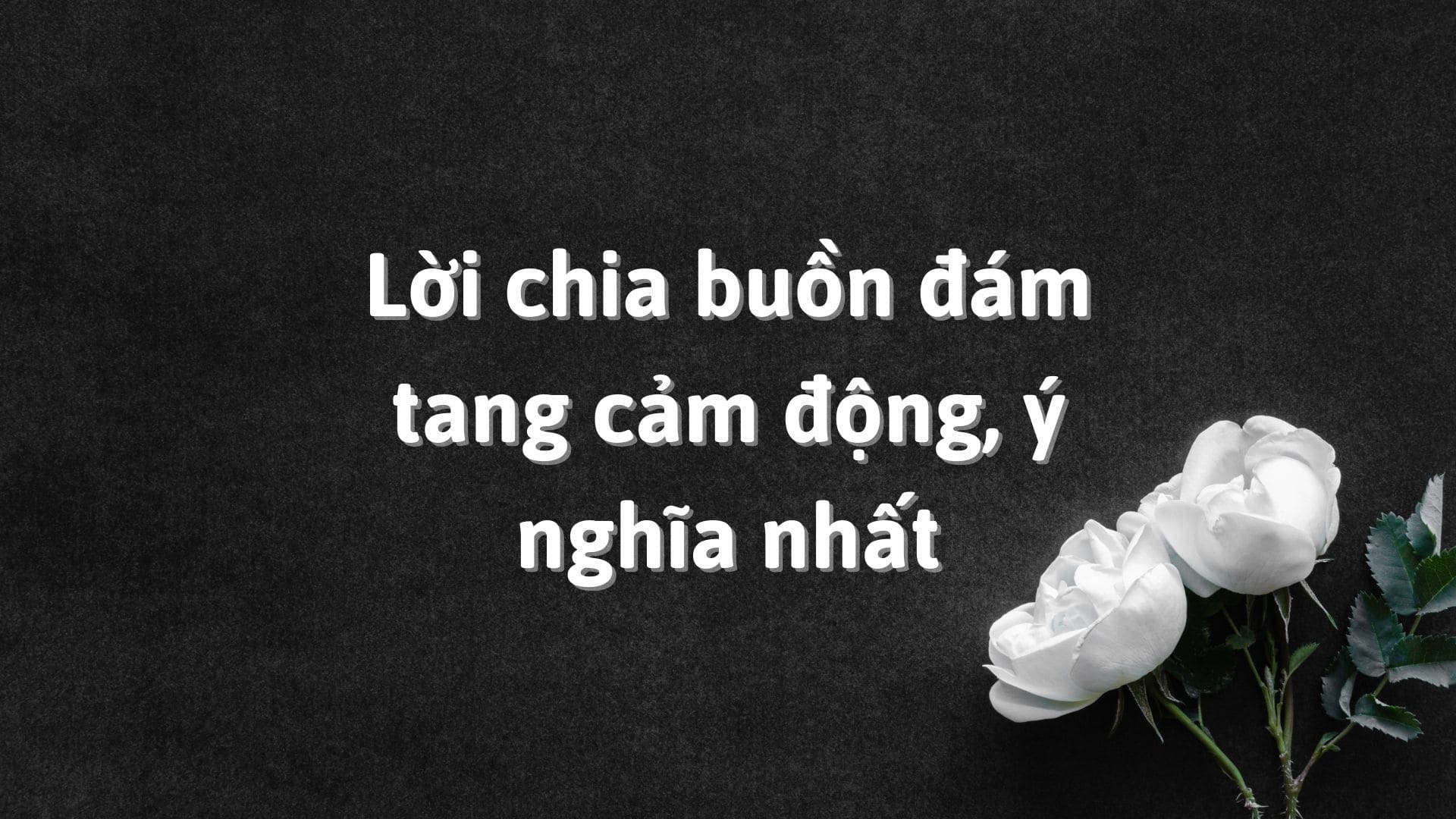 Cách nhắn tin chia buồn đám tang 1